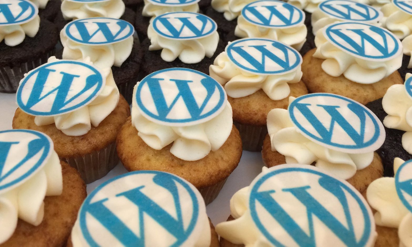 Cupcakes du WordCamp Paris 2015